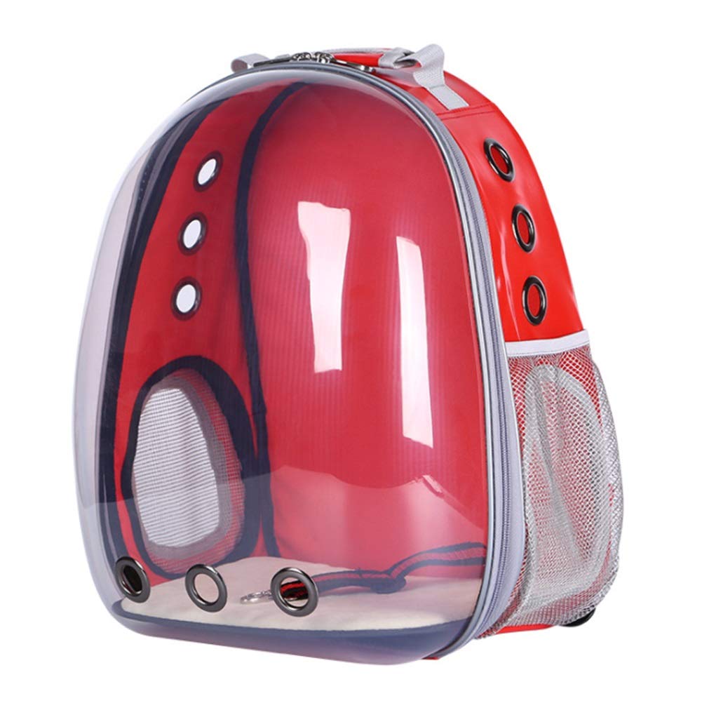 Sac à dos chat de voyage cabine pour randonnées et sorties