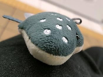 Amazon.co.jp: 海遊館 ぬいぐるみキーホルダー マンタ : おもちゃ