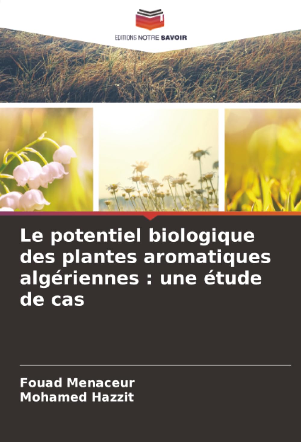 Le potentiel biologique des plantes aromatiques algériennes : une étude de cas