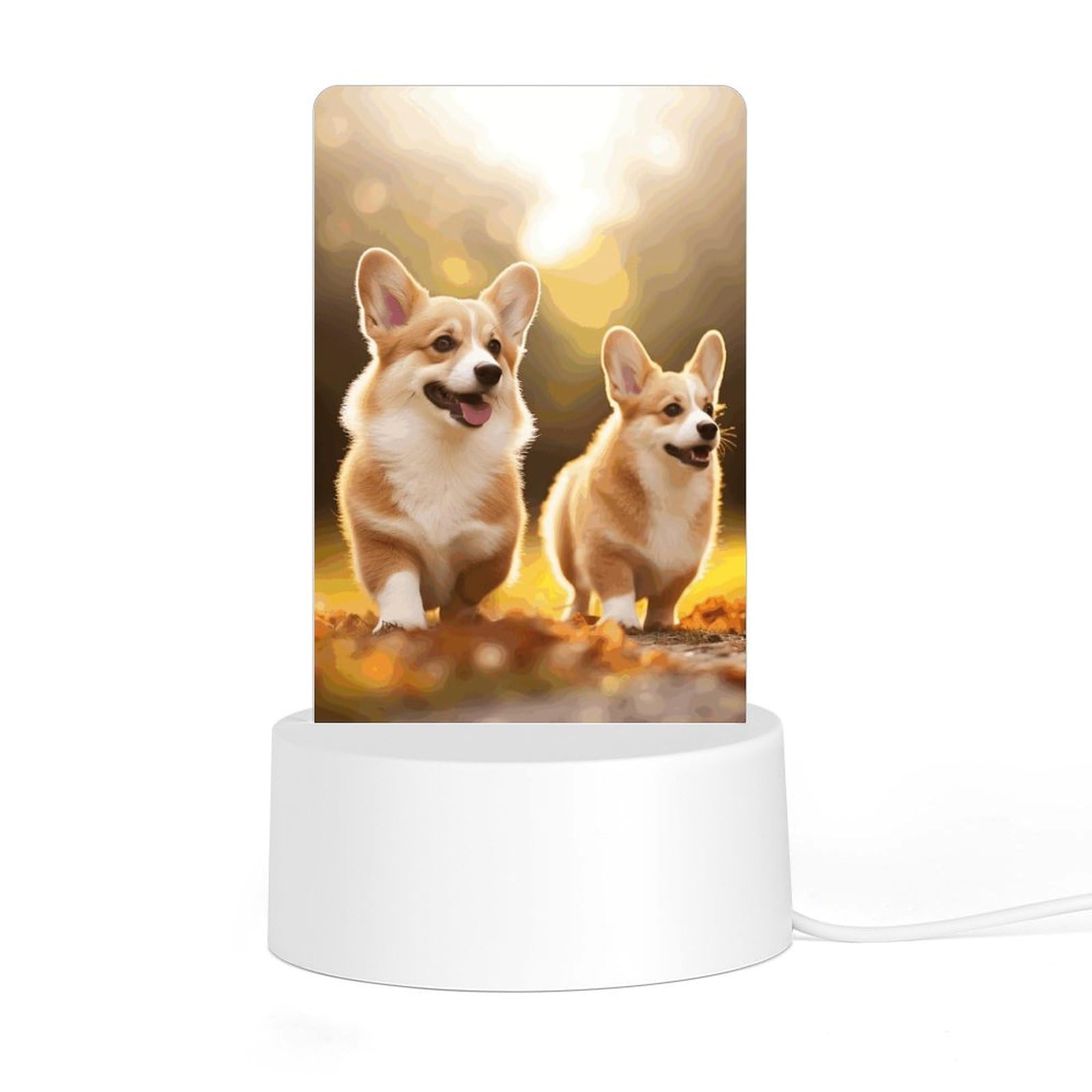 JTREHY - Acrylic Night Light with Base, Cute Corgi Dog Printed LED Desk Night Light for Bedroom Bathroom Hallway Holiday Gift