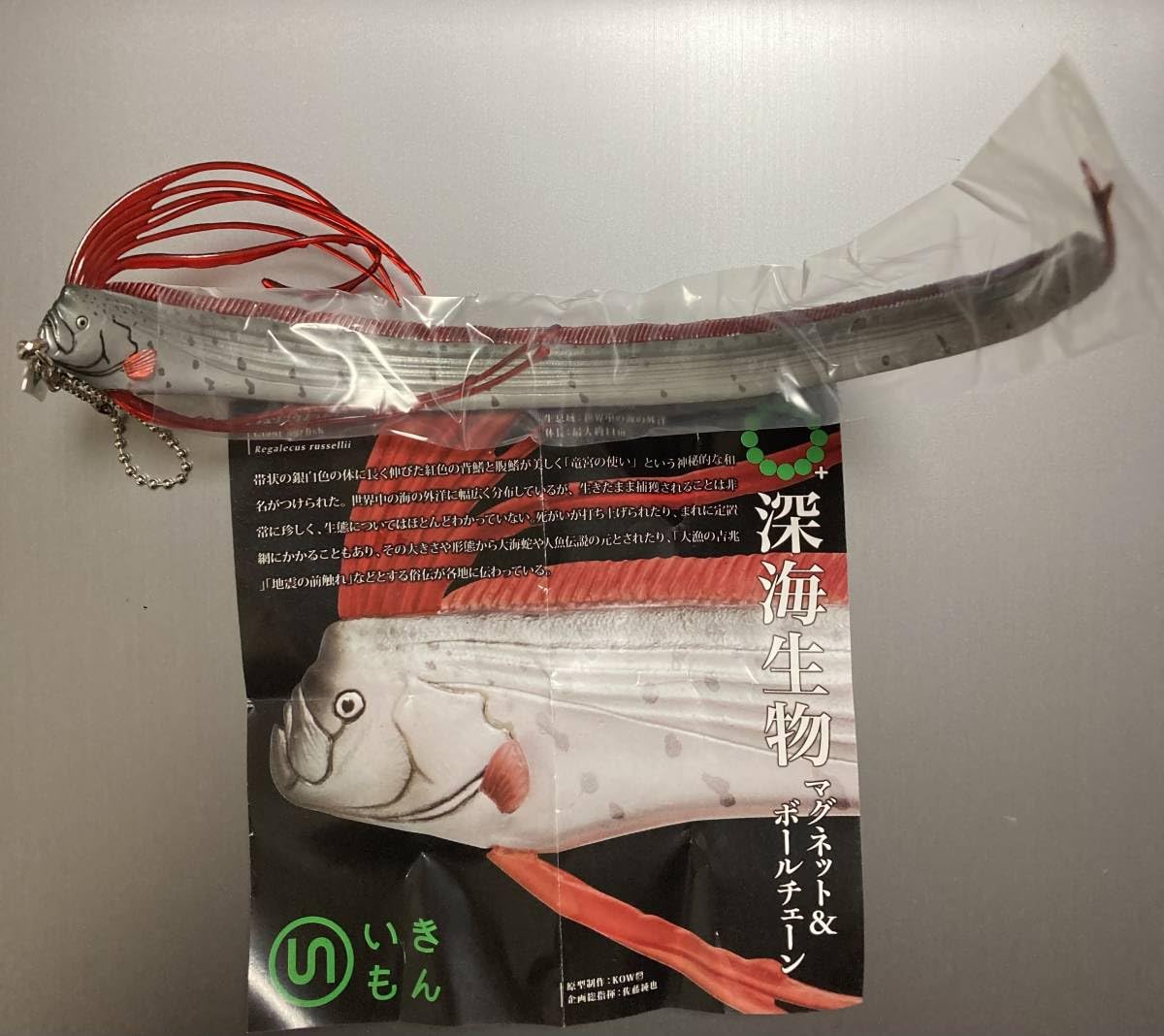 リュウグウノツカイ キーホルダー Amazon.co.jp: ワールド商事 キーホルダー アクアチック