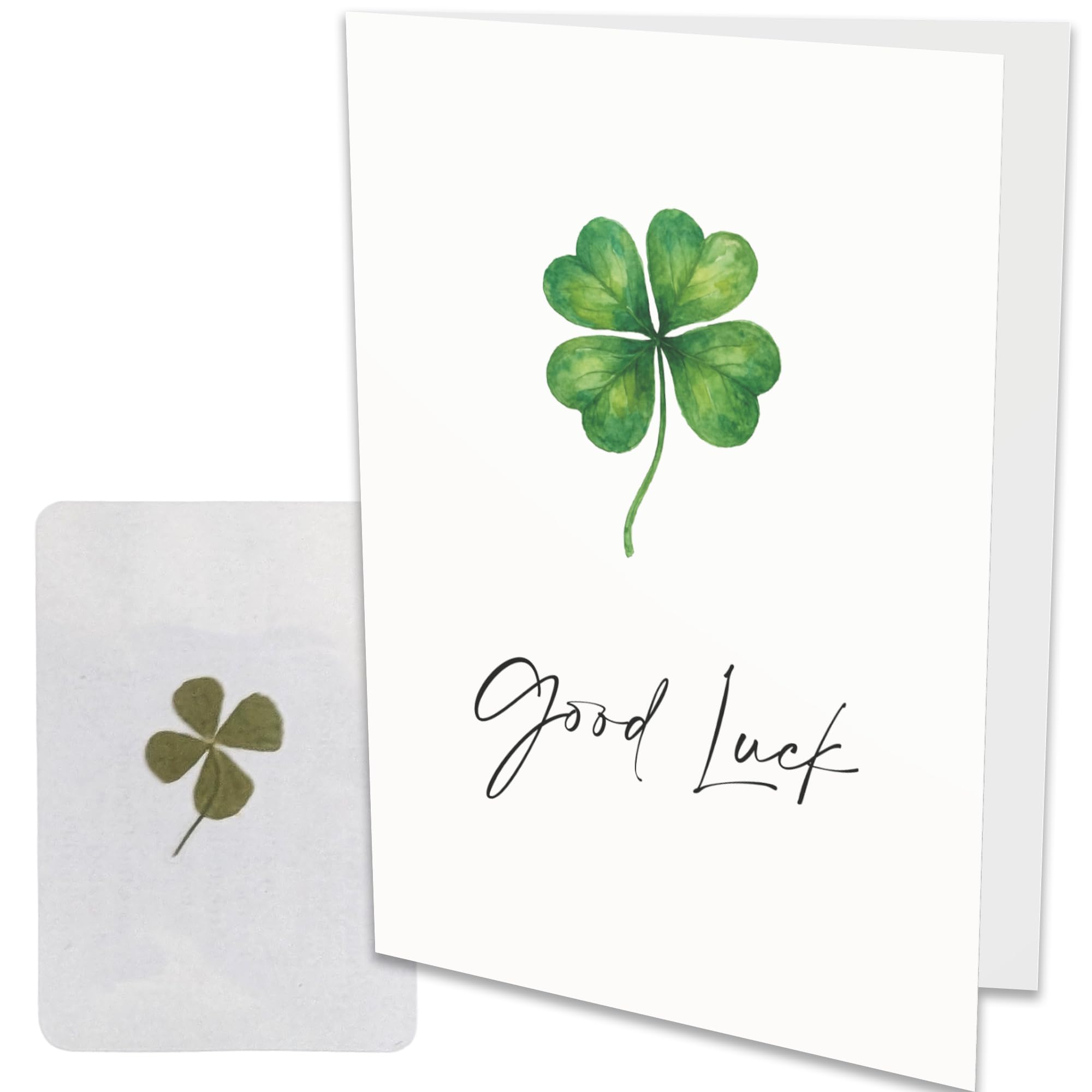 Greeting Card with Real Pressed Four Leaf Clover – Large A5 Greeting Card with Lucky Charm Inside (Good Luck)