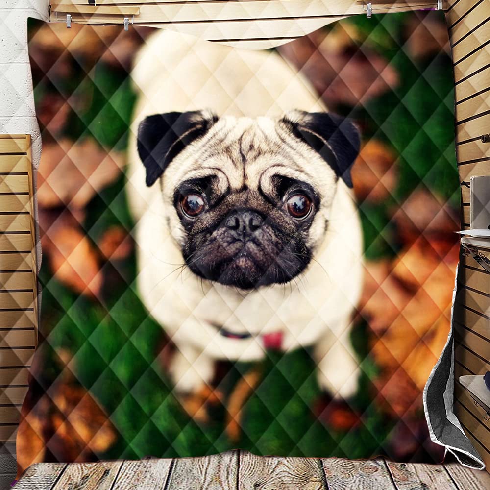 Colchas para primavera de perro con diseño acolchado 3D edredón manta de dormitorio suave 226x260cm