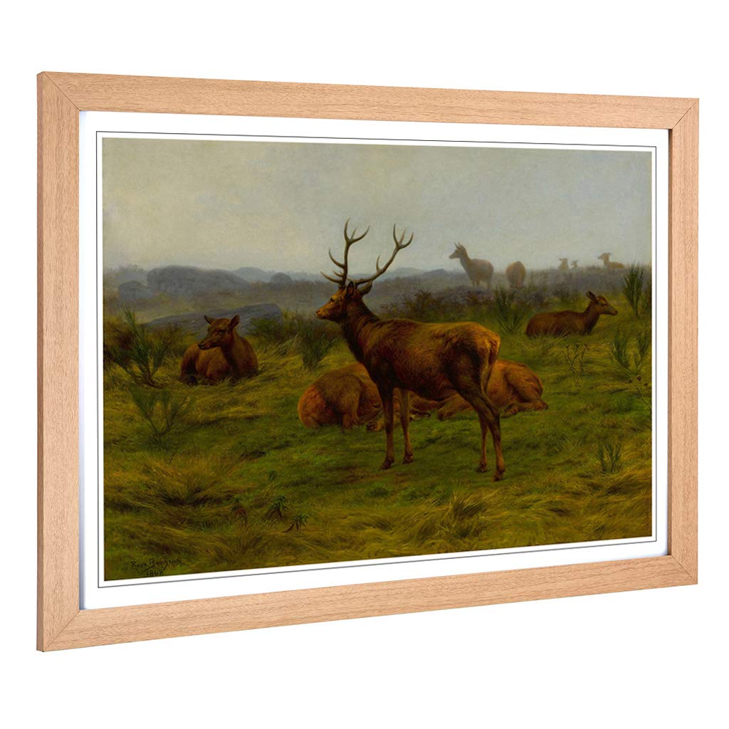 Big Box Art Framed Print of Rosa Bonheur The Stag and Deer Design | Wall Art Picture | Home Decor for Kitchen, Living, Dining Room, Bedroom, Hallway, Office, Oak, A2 / 24.5x18 Inch / 62x45cm