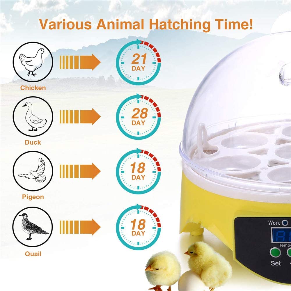 Incubadora digital de huevos totalmente automática, mini incubadora de huevos de pollo, codorniz, pavo, 10 incubadoras pequeñas semiautomáticas, talla única