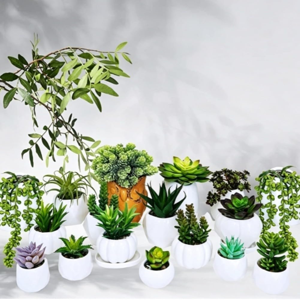 Plantas Artificiales Suculentas 23cm Realistas PVC