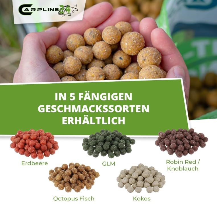 Futterboilies GLM Muschel - 10 kg - 20 mm - Karpfenköder zum Angeln, Futterboilies zum Anfüttern von Karpfen, Carp Baits, Angelfutter mit Lockstoff