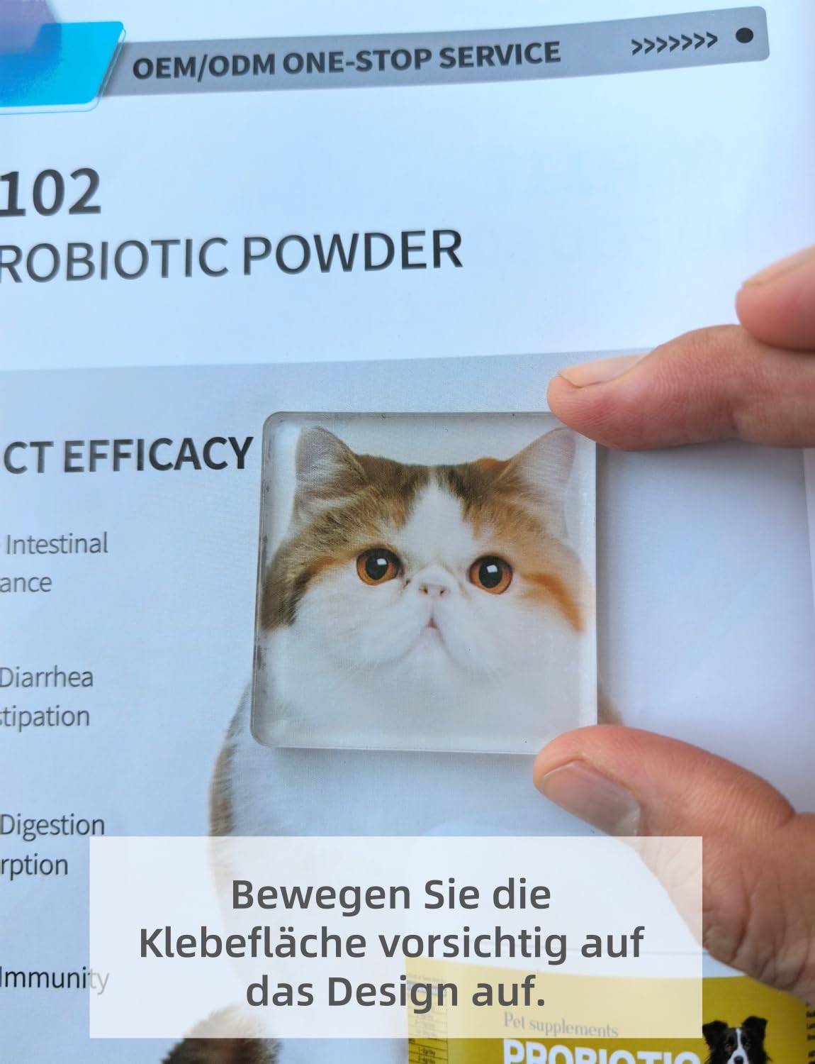 18 Stück Set zum Magnete Basteln & Selbst Gestalten – Klare 5x5 cm Fotomagnete Kühlschrankmagnete aus Acryl mit Kleberücken & Ferrit-Magneten für DIY-Deko (Küche, Büro, Schule)