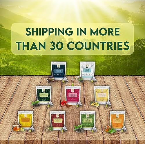 Image of Tealeaf & Co. Lemon Ginger Green Tea with Ginger, Lemon Flavor, Orange Peel, Mint & Black Pepper - Organic Green Tea Bags with Fresh Herbs and Spices - Vegan - 100 Teabags (7.055oz /200gm)