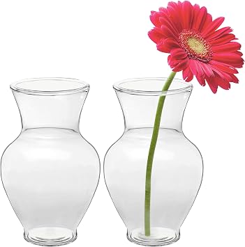 Royal Imports Bud Vases Glass Single Flower Bottle Vase Set of 2