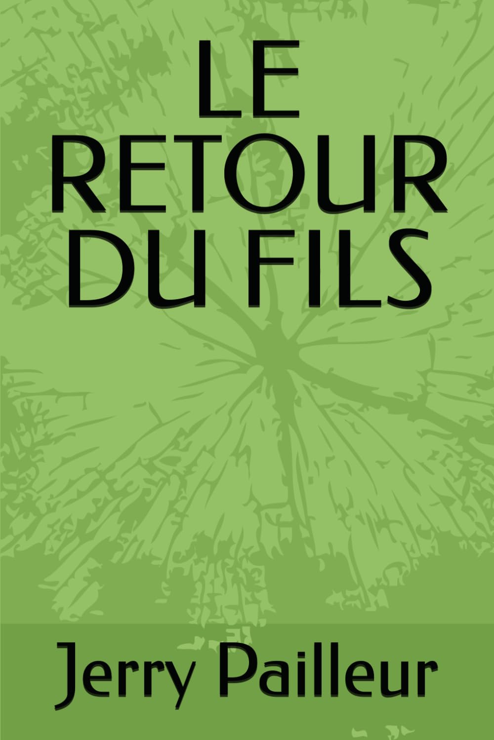 LE RETOUR DU FILS