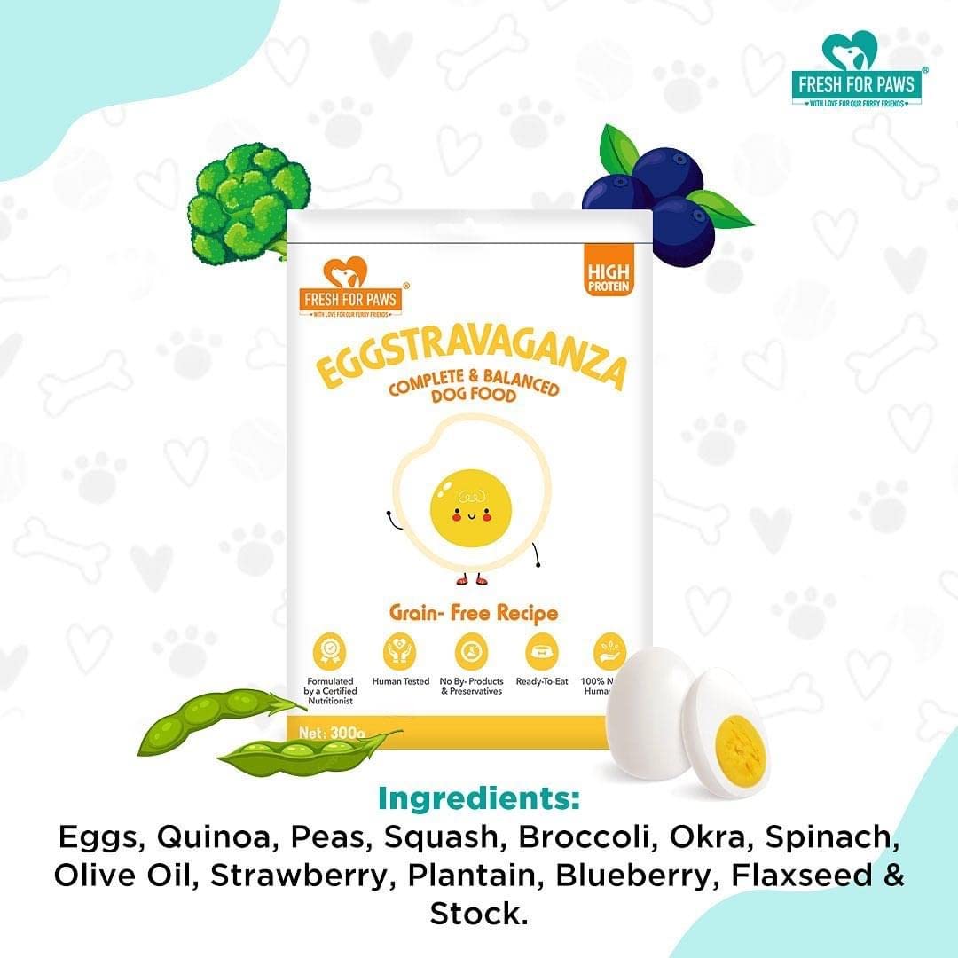 FRESH FOR PAWS 100% Natural&Human Grade Eggstravaganza Fresh Wet Dog Food Ready to Eat|Complete&Balanced Meals for Dogs with Healthy Fats&High Protein|All Breed|100 Gram Pack of 2,All Life Stages 1