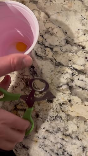 25 Pieces Quail Egg Cartons 15 Grids Plastic Pigeon Bird Egg Protection Boxes Small Egg Holders Cases With 2 Pieces Stainless Steel Quail Egg Cutter Opener - View #11