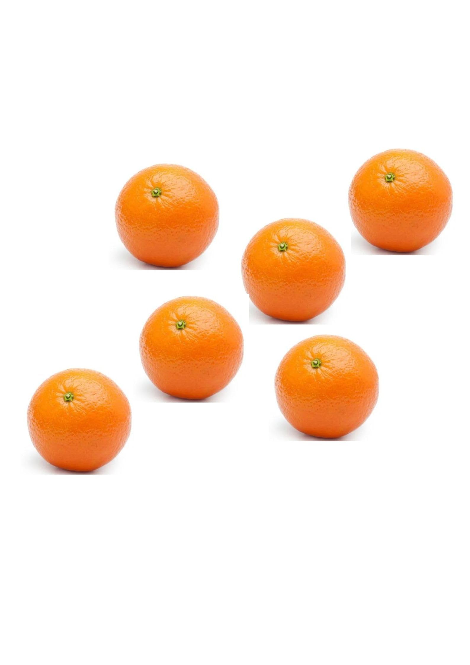 Large Oranges I Pack of 6