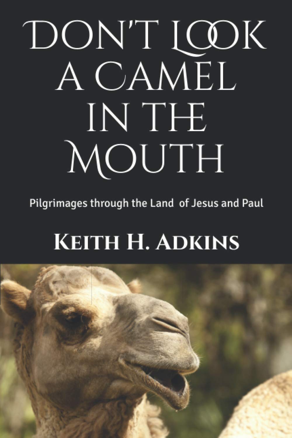 Don't Look a Camel in the Mouth: Pilgrimages through the Land of Jesus and Paul      Paperback – September 5, 2020