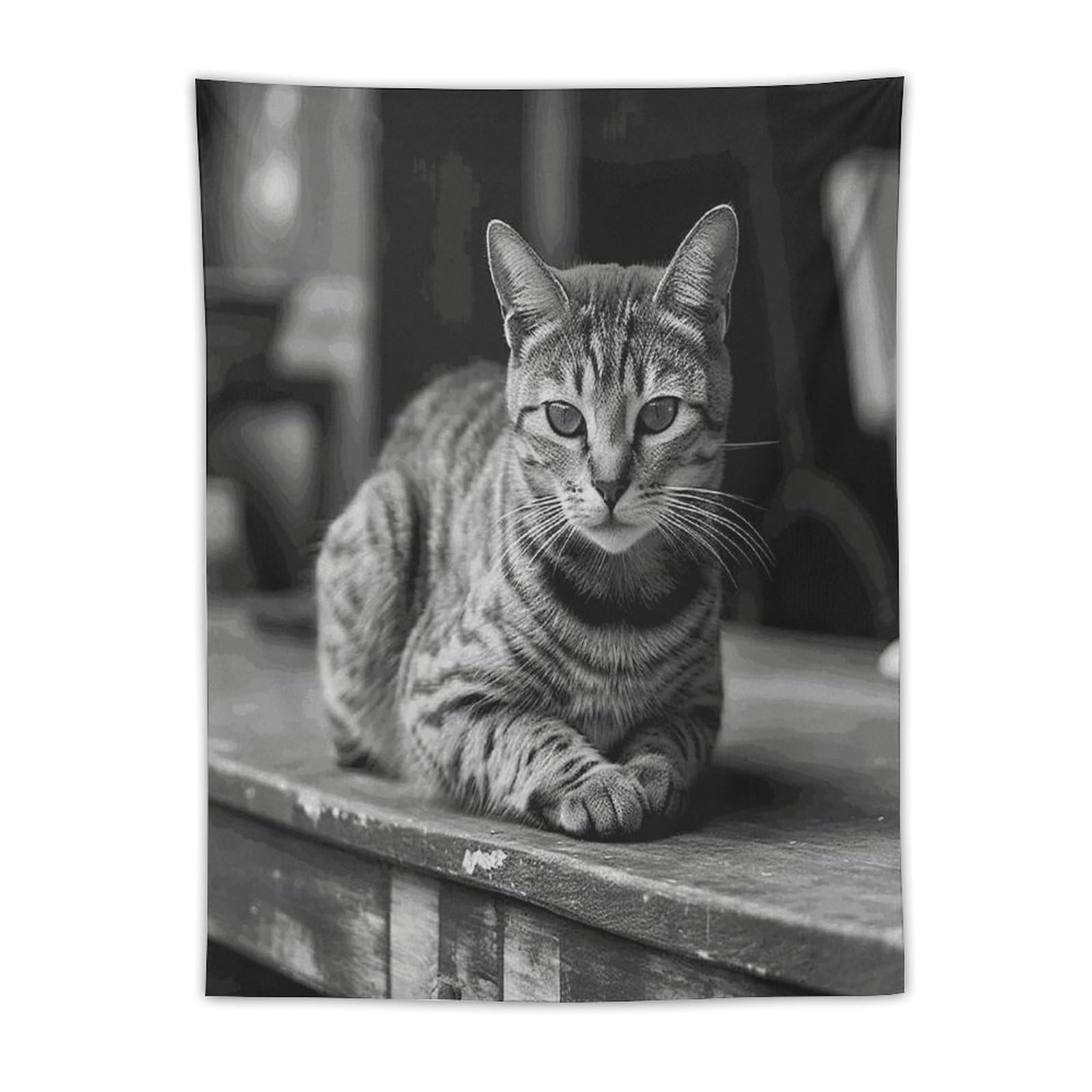 MUSM A Gray Cat Tapestry with Installation Kit Personalized Wall Tapestry Aesthetic Tapestries Backdrop Banner Wall Art Hanging Decor for Home Picnic Beach Blanket 30"x40"