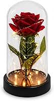 Cúpula Decorativa com Rosa Artificial Vermelha, Presente Romântico com Caixa Transparente Premium para Dia dos Namorados, Aniversário, Namorada, Esposa, Mãe e Decoração Especial