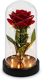 Cúpula Decorativa com Rosa Artificial Vermelha, Presente Romântico com Caixa Transparente Premium para Dia dos Namorados, Aniversário, Namorada, Esposa, Mãe e Decoração Especial