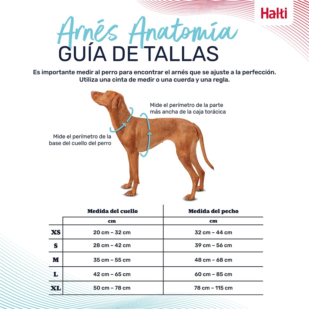 Arnés de Perro HALTI Anatomy con asa - Proporciona Libertad de Movimiento a tu Perro para Que pasee cómodamente. 3 Puntos de Enganche y Acolchado de Neopreno, Ajustable y Reflectante (Talla S, Gris)