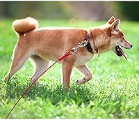 Vista 8 de BV Cable de Amarre para Perros de 30 Pies – Correa Resistente para Perros de hasta 125 Libras – Reflectante y Libre de Óxido con Clips Giratorios