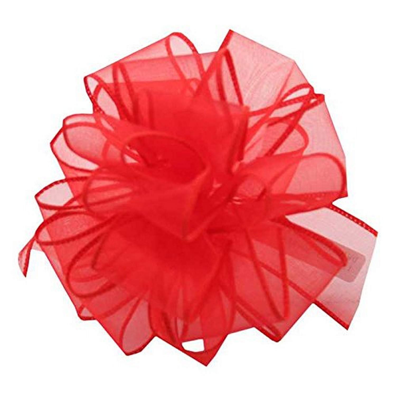 Amazon.com: Berwick Offray DWI Sheer Spring Wired Edge Ribbon-2-1/2 ...