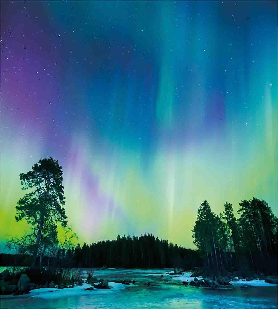 Ambesonne Aurora Borealis Duvet Cover Set, Sky Over Lake Surrounded Forest Woods Hemisphere Print, Decorative 3 Piece Bedding Set with 2 Pillow Shams, Queen Size, Violet Green