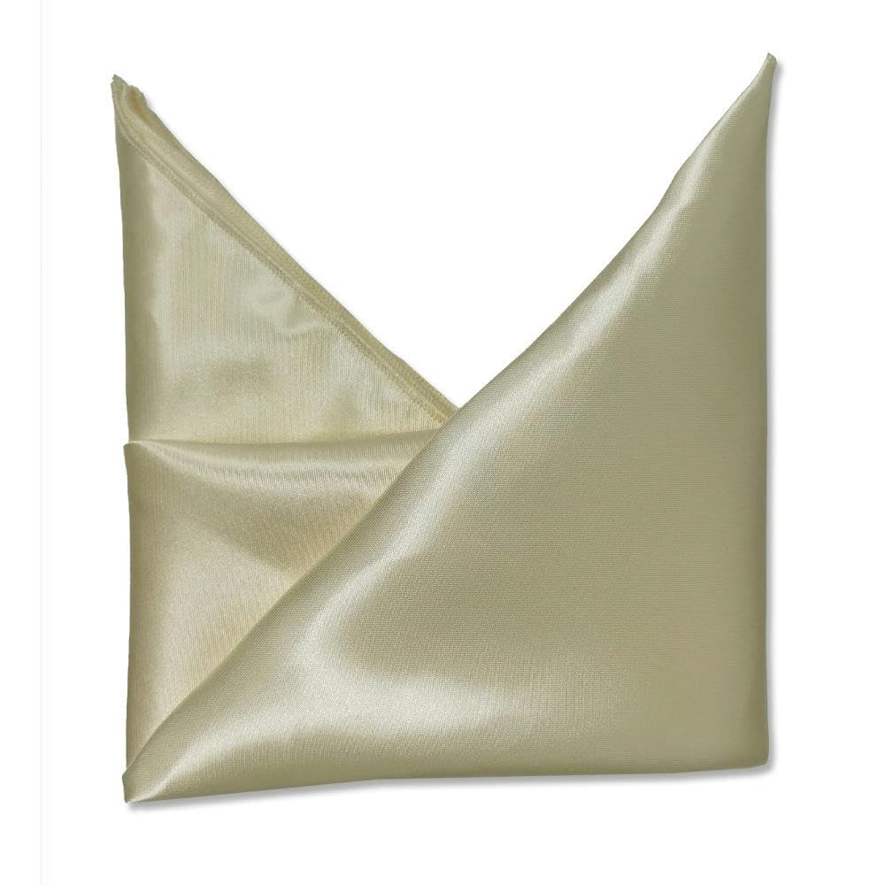 Silky Satin Cloth Napkins, Satin Square Table Napkins Reusable For Wedding Home(Rice,42 * 42cm 6PC)