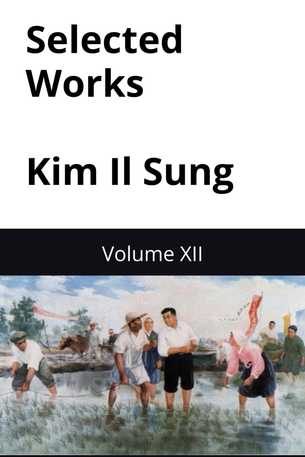 Selected Works Kim Il Sung: Volume XII (Kim Il Sung Works)