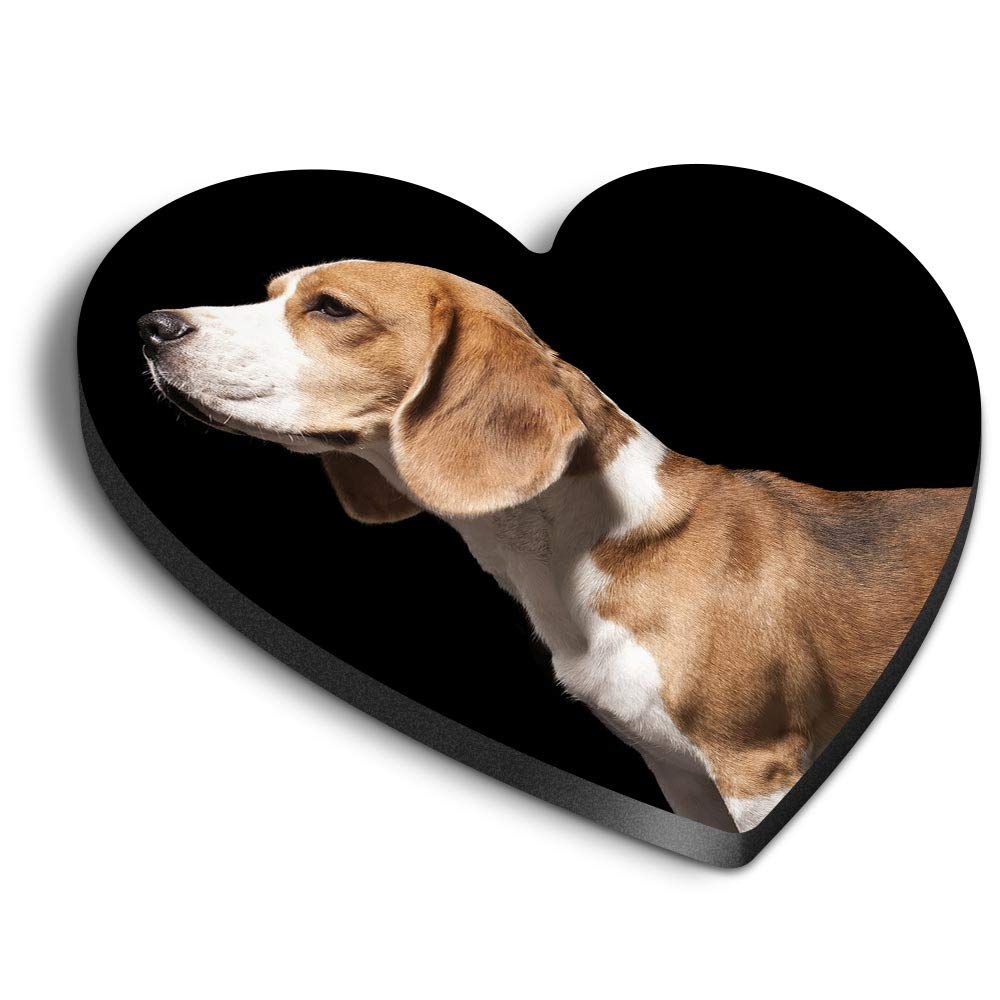 Destination Vinyl Ltd Multicolor 1 X Heart Mdf Magnets - Adult Beagle Dog Hound Puppy Pet 44028