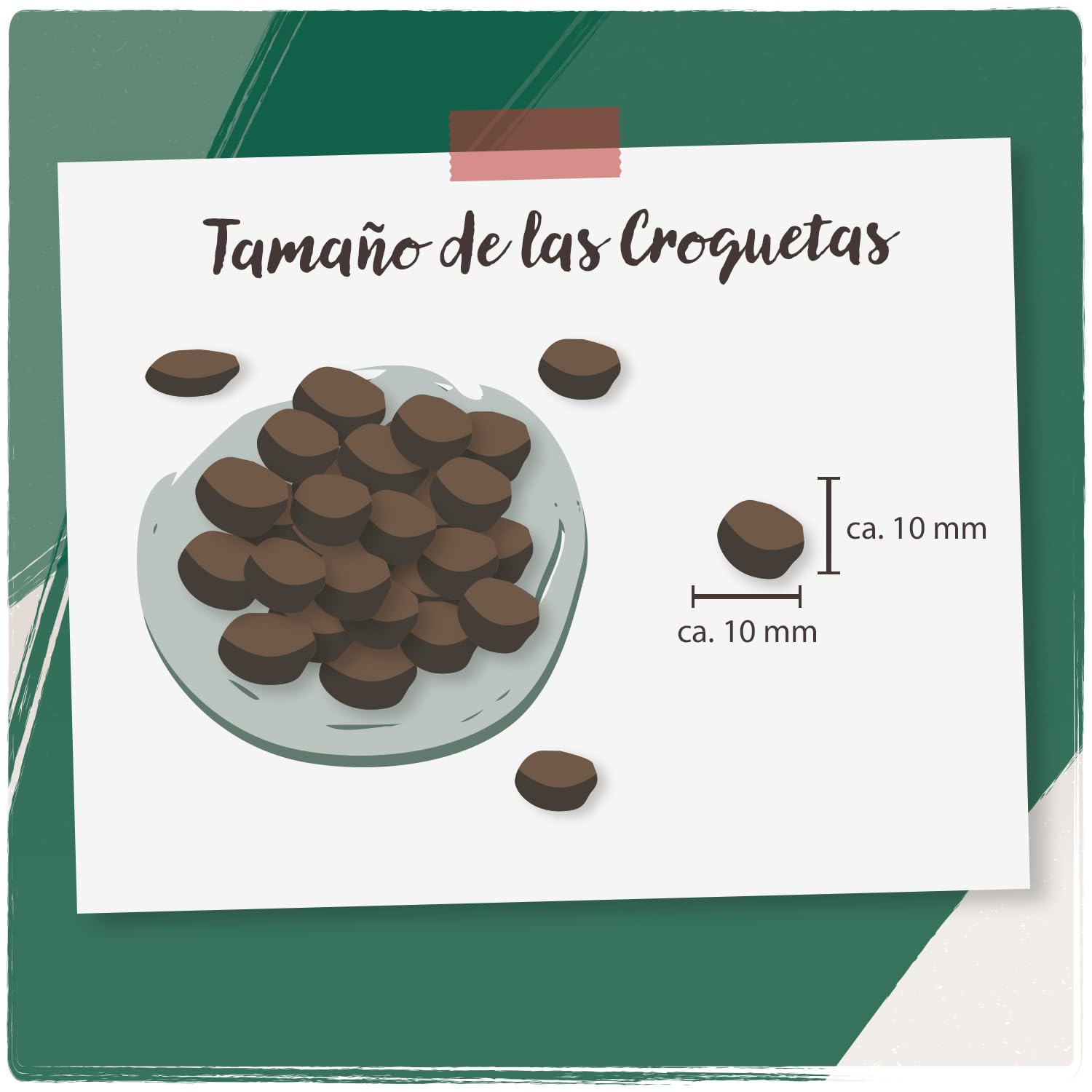 VenandiAnimal Comida seca de calidad para gatos - pack de degustación de cordero, 4 x 1,5 kg (paquete de 4), sin cereales y con carne y pescado frescos