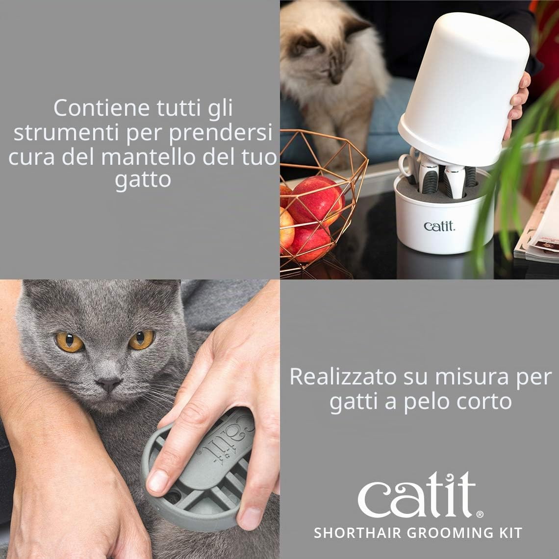 Catit Set di Spazzole per Gatti a Pelo Corto