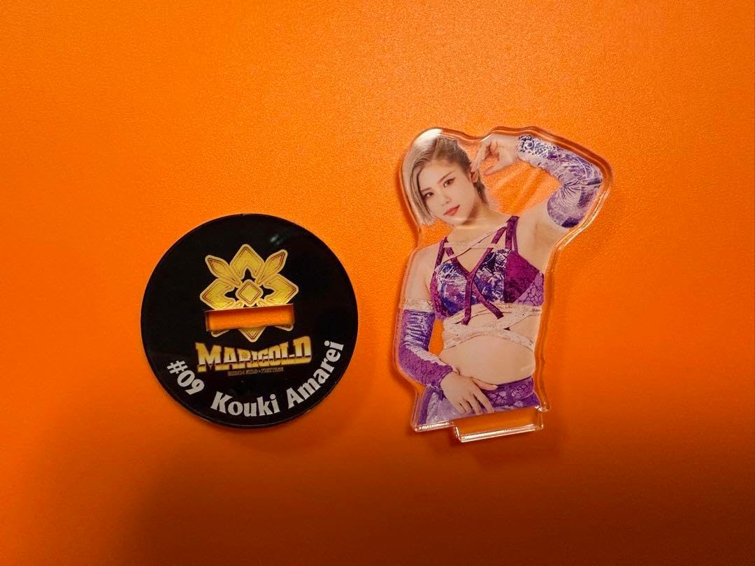 女子プロレス　マリーゴールド　天麗皇希　アクリルスタンド　2種セット Amazon.co.jp: 女子プロレス マリーゴールド ランダムアクリル
