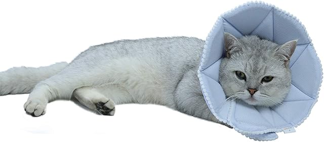 TT.WALK Soft Cat Recovery Collar,Adjustable Dog Cat Cone,Dog Protective Cone Collar After Surgery,for Cats and Puppy,Small,Blue(S)