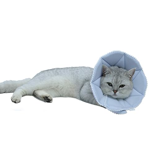 WZ PET Collar de recuperación Suave para Gatos, Cono Ajustable para Perro y Gato
