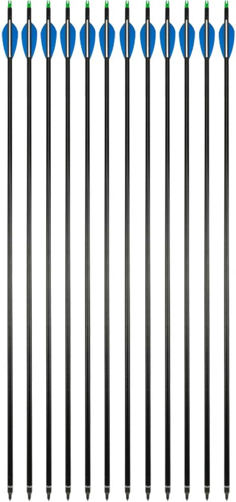 6/12 Pack 30 Inch Archery Fiberglass Arrows Target Hunting Practice Hunting Arrows with 100 Grain 3 Blades Broadheads