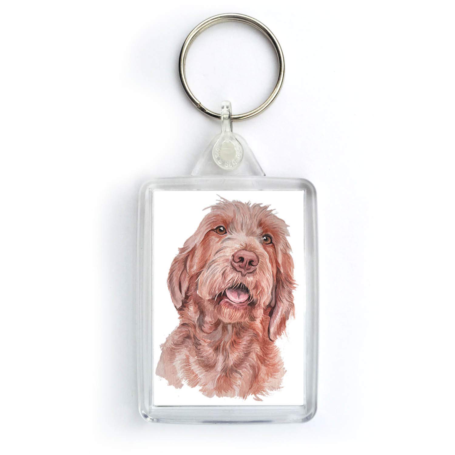 Waggydogz Multicoloured Wirehaired Hungarian Vizsla Dog Keyring (Krg-189)