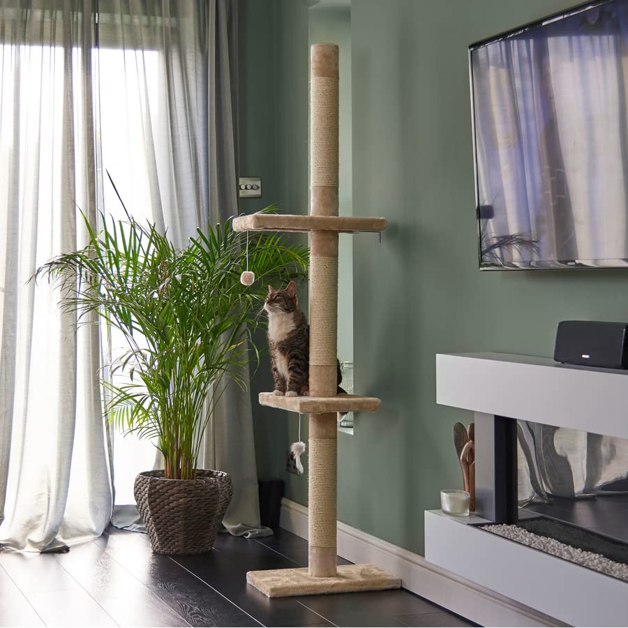 Buy Runesol Reinforced Cat Tree 240288cm Floor to Ceiling, Tall Ceiling to Floor Tower, Beige