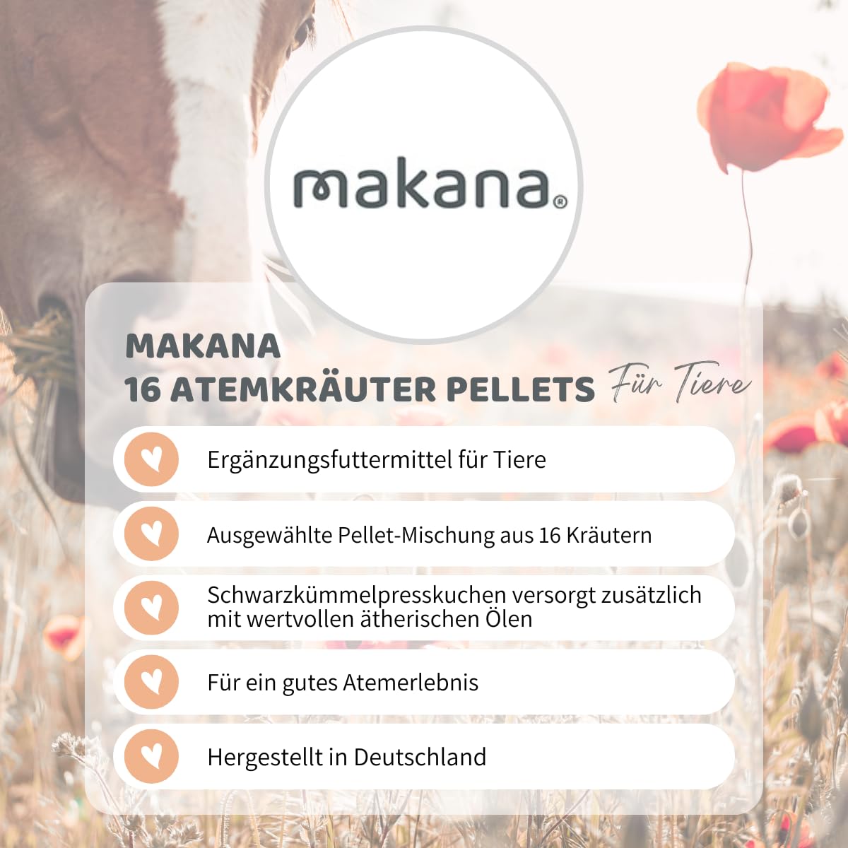 Makana 16 Atemkräuter mit Schwarzkümmel, 3er Pack (3 x 1 kg)