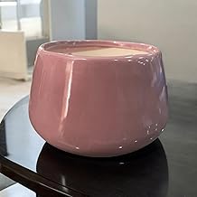 Tomar Decor Decorative Bowl Planter with Drainage Holes, 5 inches, Indoor Plant Pot for Home Office Living Room (Pink)
