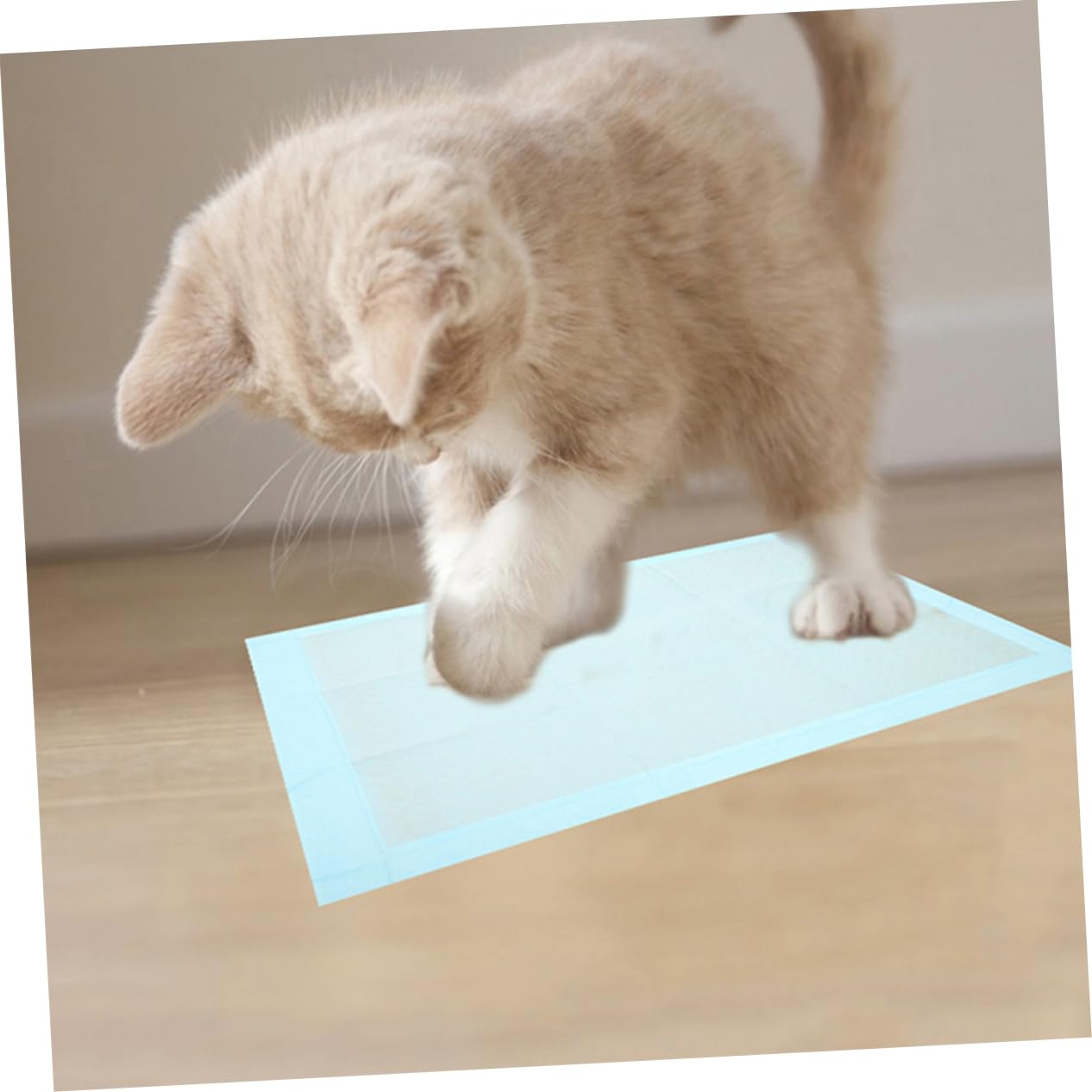 BESTonZON 100pezzi Tappetini Assorbenti Per Cani e Cuccioli Traversine Riutilizzabile Ultra Assorbenti Per Addestramento e Igiene Indoor Per Gatti e Piccoli Animali Con Protezione Antileak