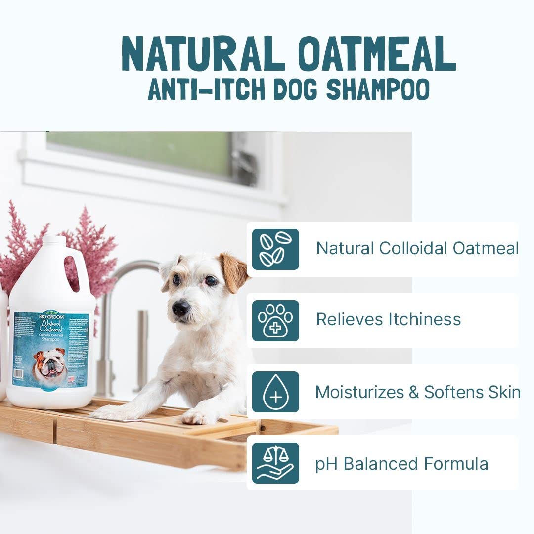 BIO-GROOM - Natural Oatmeal - Haferflocken Shampoo - Hundeshampoo und Welpenshampoo - Lindert Juckreiz und spendet Feuchtigkeit - pH-neutral und frei von Parabenen - 3,8 L