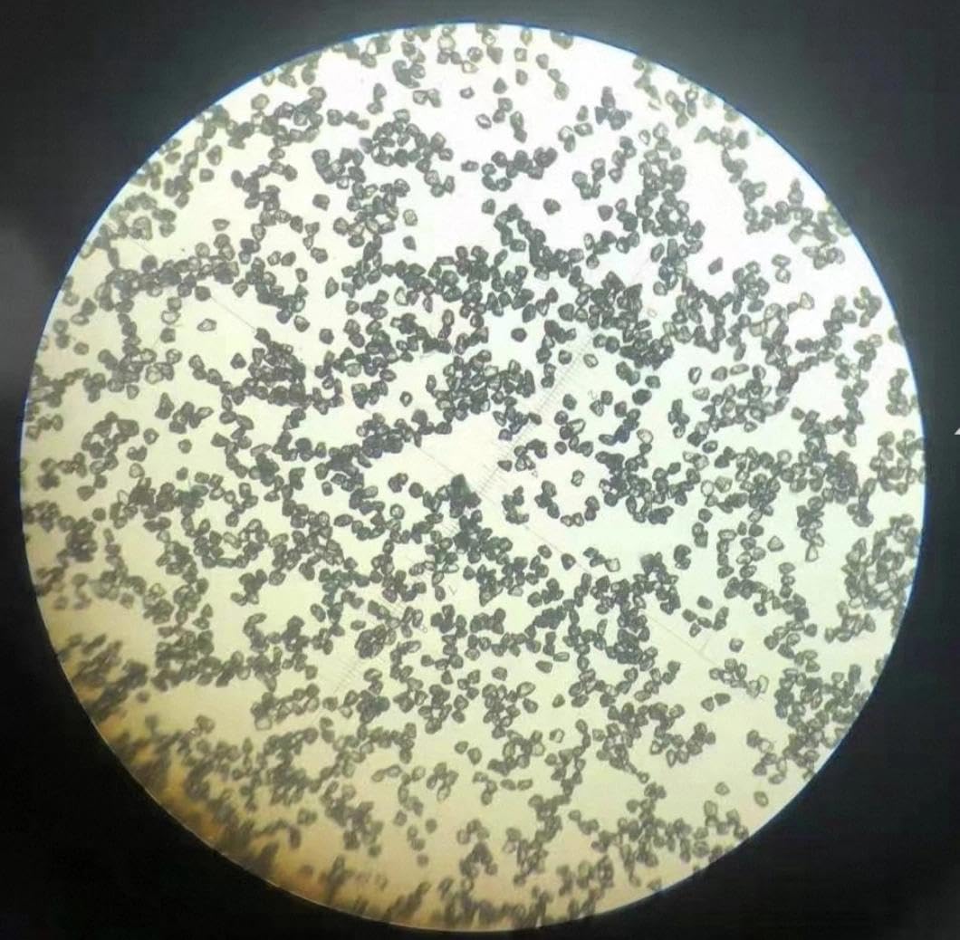 Fine Diamond Powder - 25-35 Micron for Polishing -5