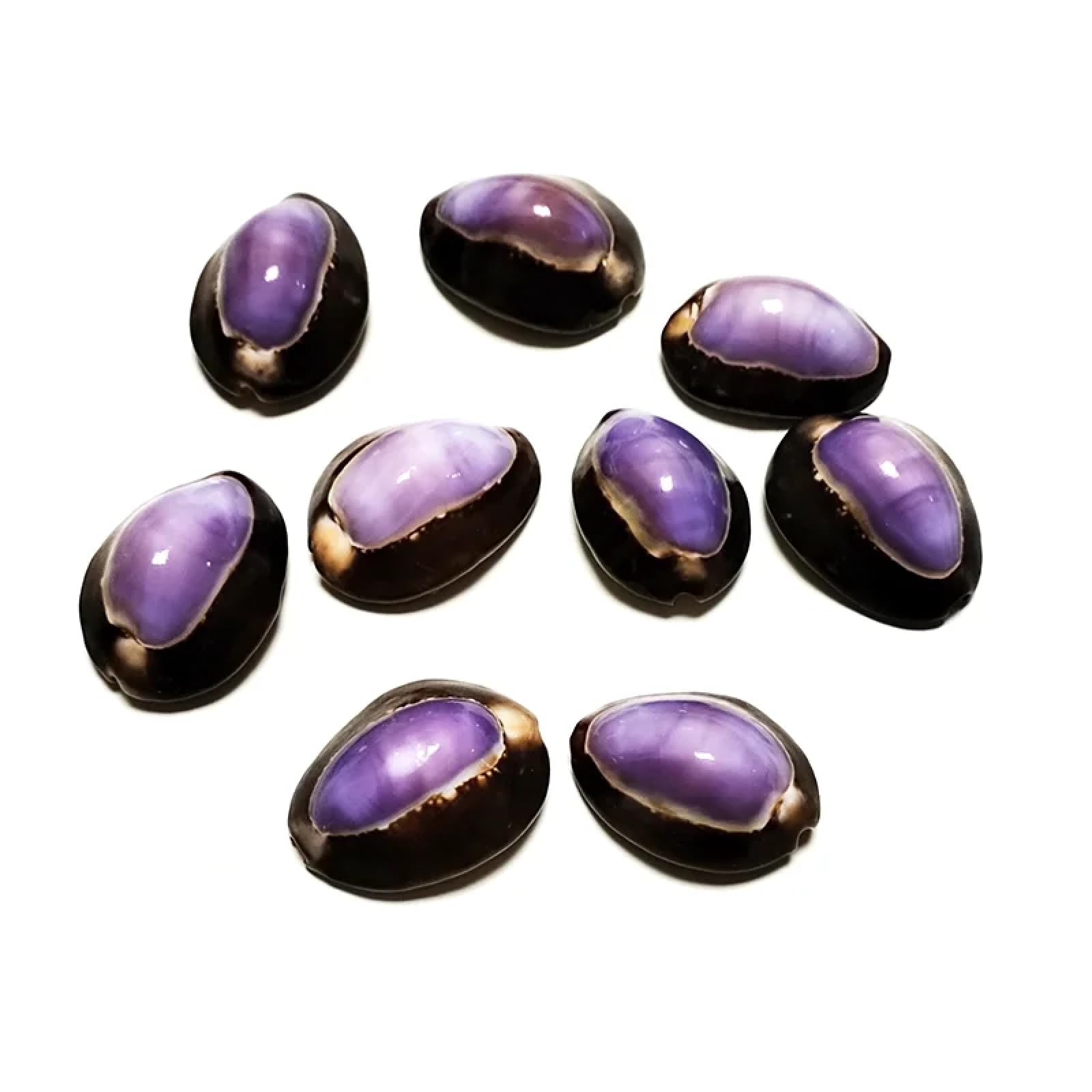 Conchiglie per decorazione, 10 pezzi, 2-3 cm, viola, conchiglie di ciprea, naturale, viola, conchiglie, conchiglie, gioielli, ciondoli, decorazione per la casa e la spiaggia