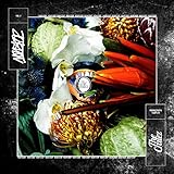 Skifahren [Explicit]