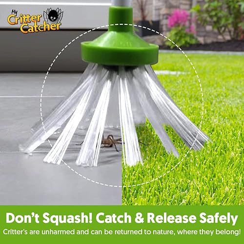 Miniatura 5 de My Critter Catcher atrapador de arañas e insectos Verde