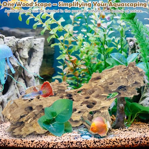 Image of PINVNBY Natural Driftwood for Aquarium Large Reptile Terrarium Decor Decorations Assorted Branches Dearded Dragon Tank Accessories (Slim Style: 7.87-11.8 inches /3 Pack)