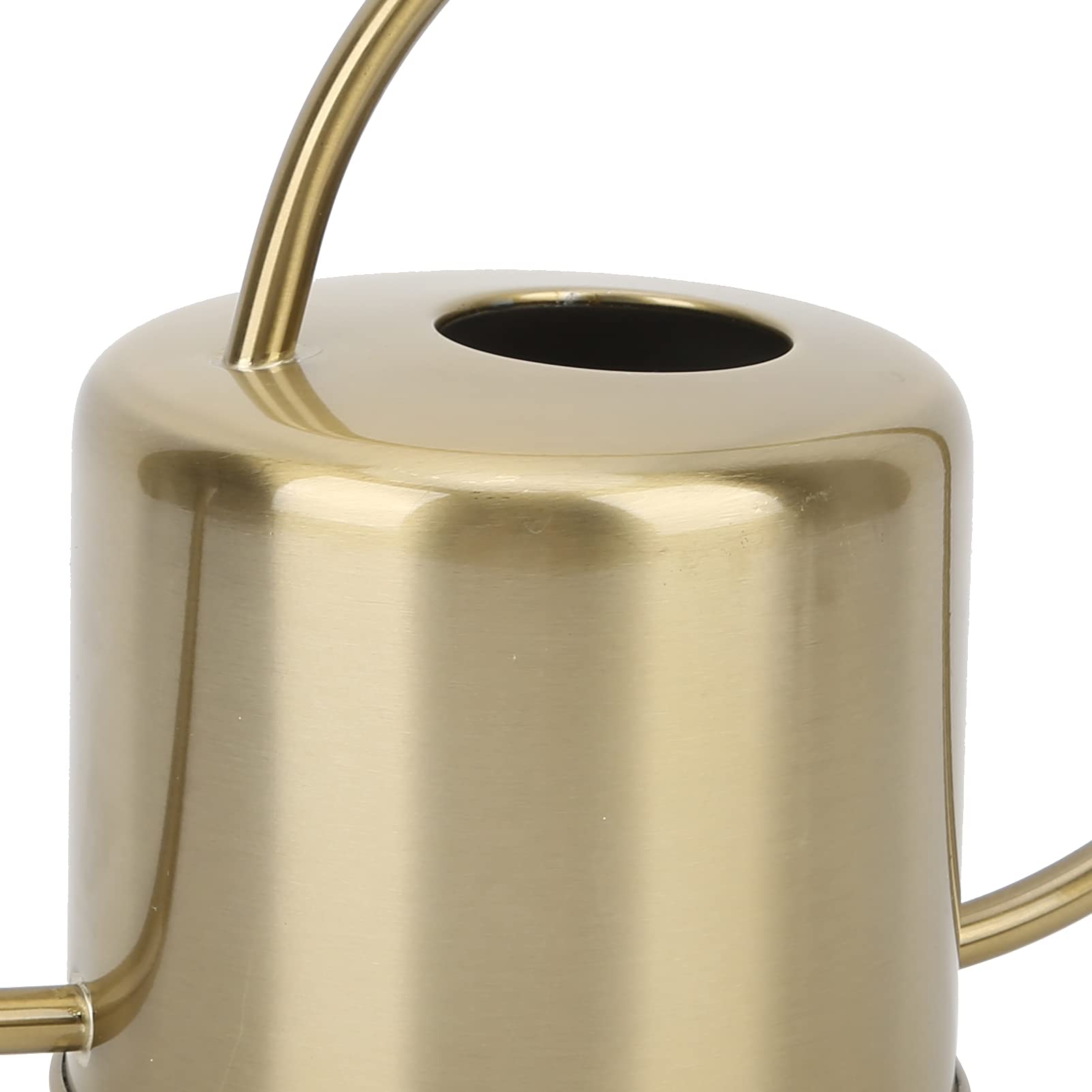 Hztyyier Annaffiatoio a Bocca Lunga Annaffiatoio in Acciaio Inossidabile in Ottone per Bonsai Succulenti Fiori da GiardinoAnnaffiatoio da 1300 Ml Ornaments