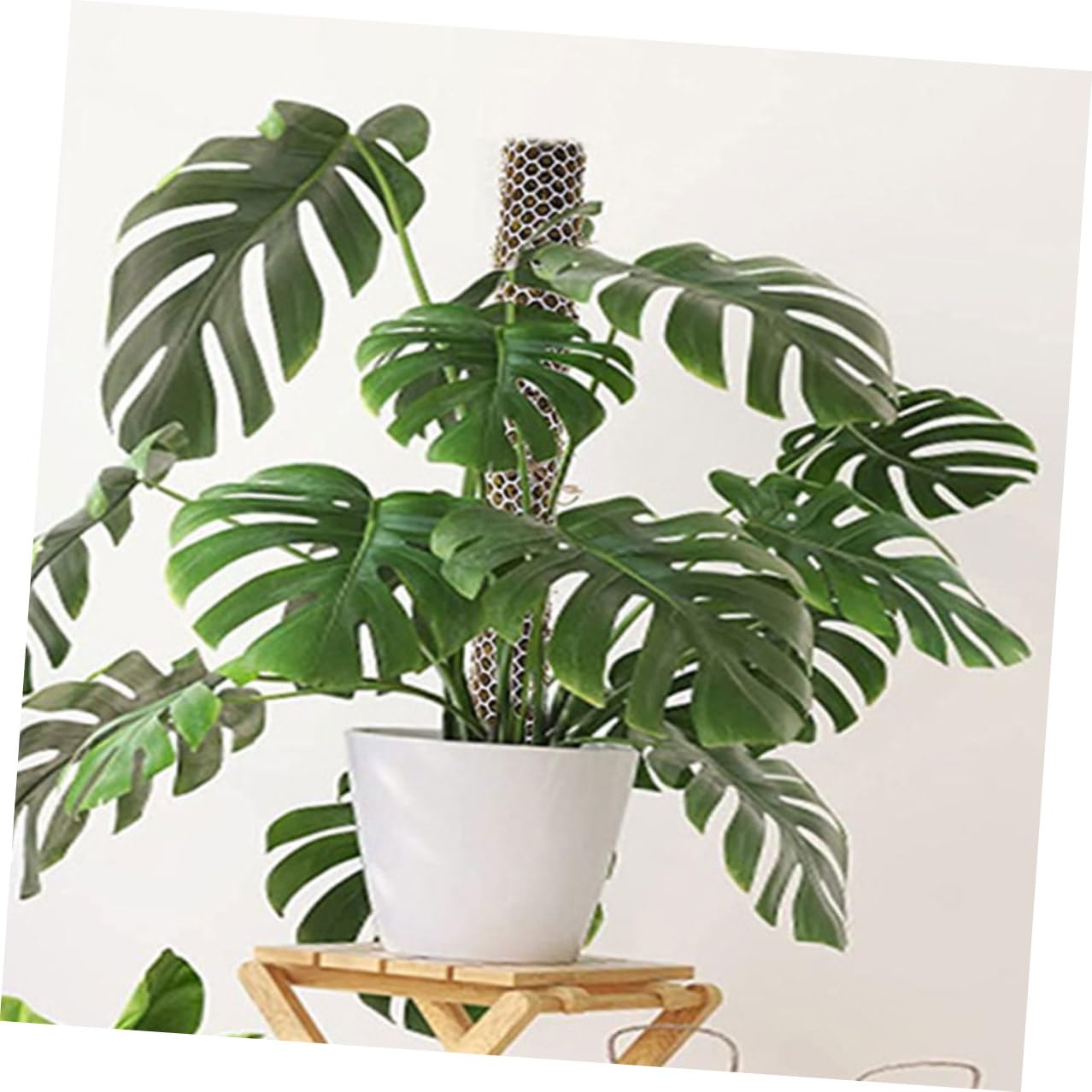 Enrejado flexible de soporte para plantas, enrejado de plástico duradero para plantas trepadoras, kit de jardín interior y exterior para plantas en maceta, sistema de soporte de verduras de malla