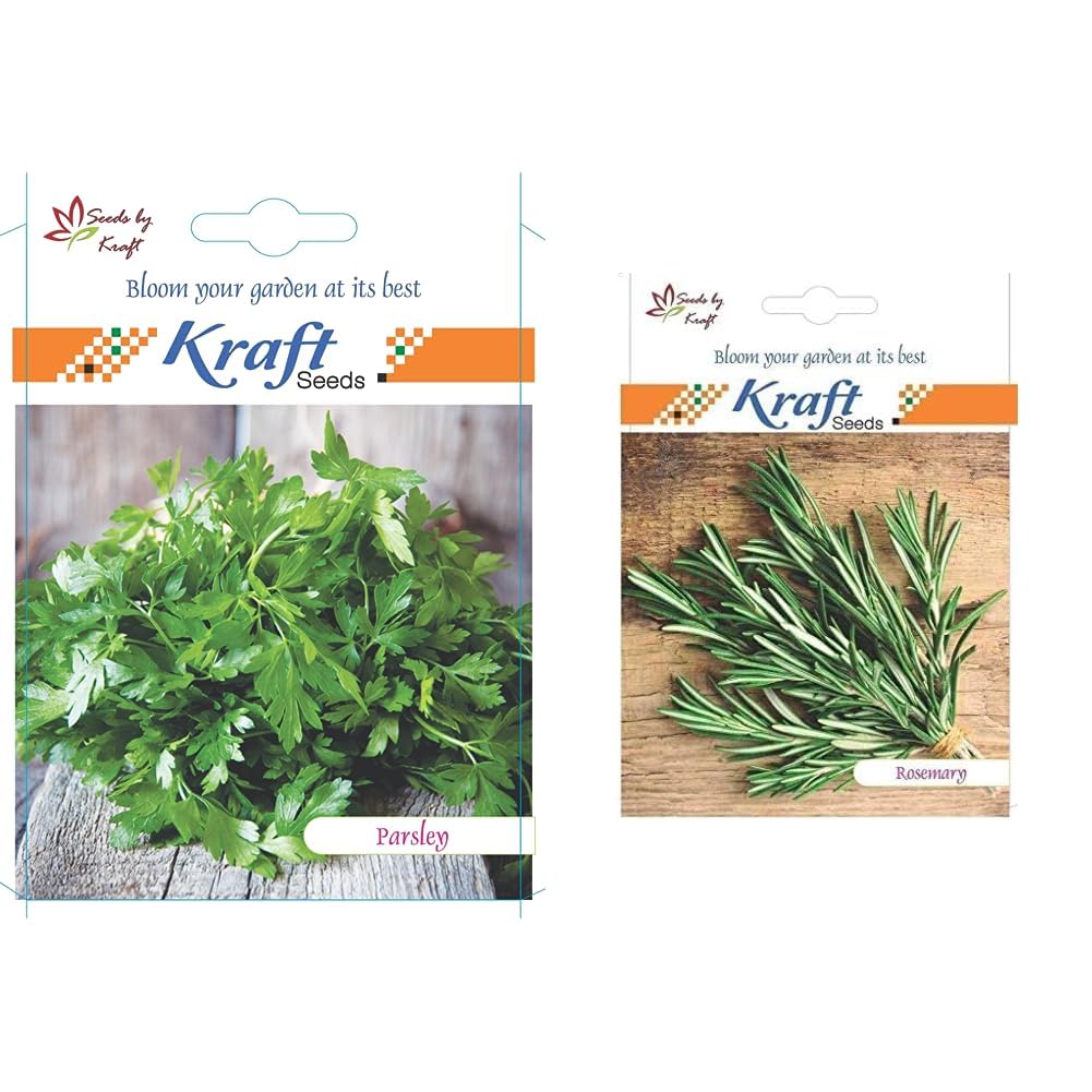 Kraft Seeds by 10CLUB Vegetable Parsley Seeds for Home Gardening (2 Packets ,2gm each ) |Summer Seeds for Home Garden | Fresh Gardening Vegetable Leafy Plants Seeds for Kitchen (B00TPLL2SY) Amazon Price History, Amazon Price Tracker