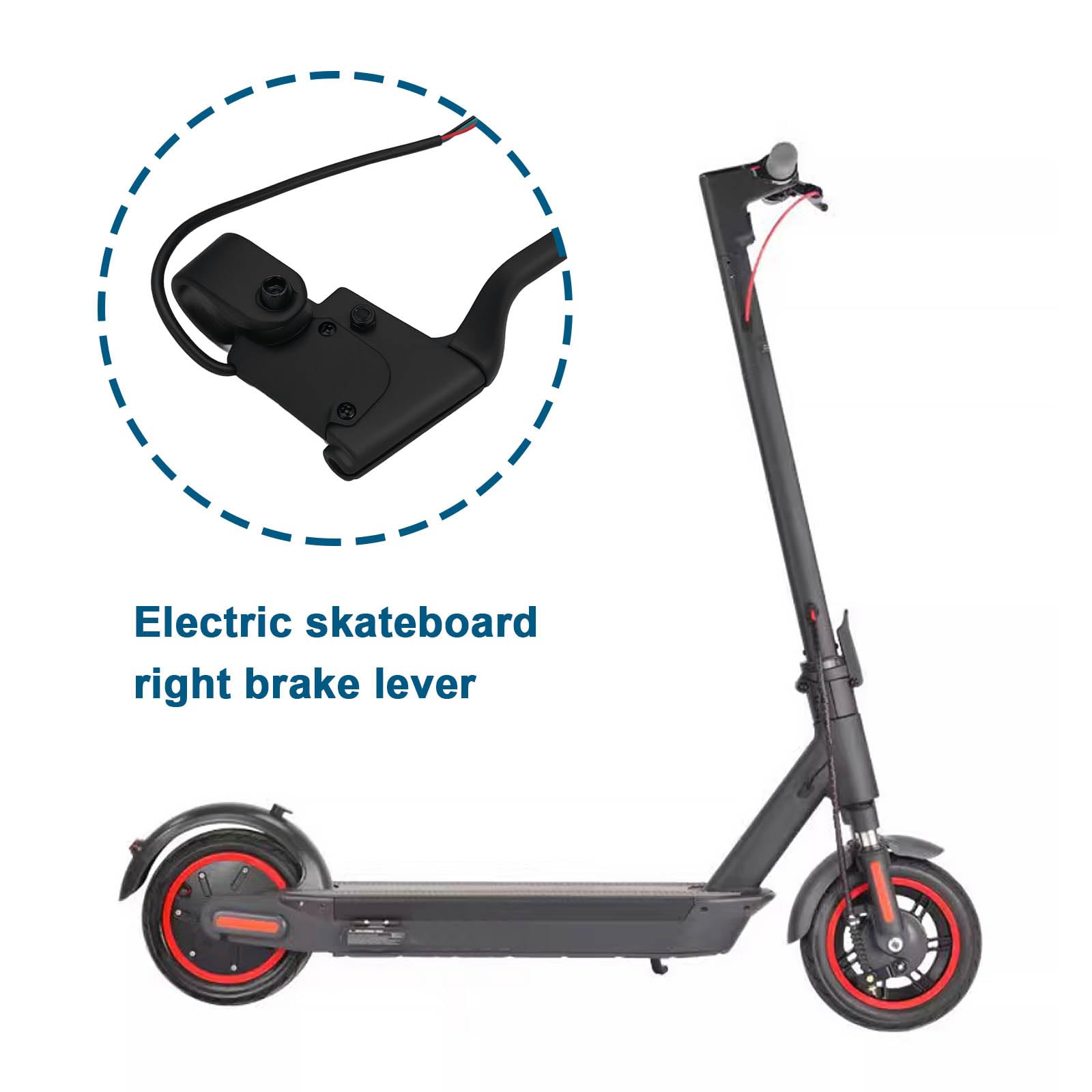 Trottinette Freestyle Striker Gravis – Légère, Guidon 600 Mm, Deck 56 Cm, Roues 110 Mm